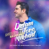 Amirabbas Hasanzadeh - Delam Toro Mikhad