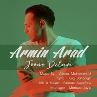 Armin Arad - Joone Delam