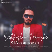 Siavash Bokaei - Delkhoshimi Hamishe