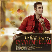 Vahid Amraei - Ey Vay Raft Delam