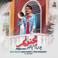Pedram Paliz - Majnoonam