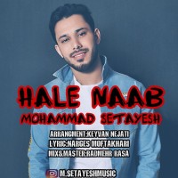 Mohammad Setayesh - Hale Naab