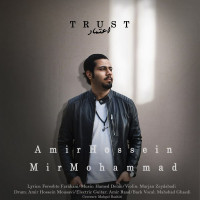 Amir Hossein Mir Mohammad - Etemad