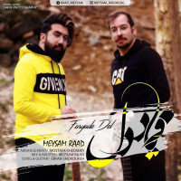 Meysam Raad - Faryade Del