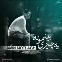 Amin Motlagh - Ye Chizi Beinemoone