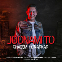 Ghasem Honarkar - Joonami To