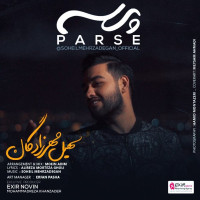 Soheil Mehrzadegan - Parse