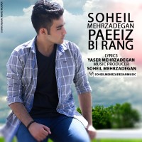 Soheil Mehrzadegan - Paeiz Bi Rang