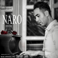 Vahid Sadraei - Naro Divoone
