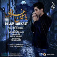 Yasin Gholami - Delam Shekast
