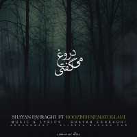 Shayan Eshraghi Ft Roozbeh Nematollahi - Doroogh Migofti