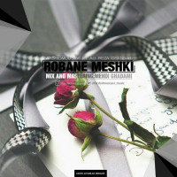 Farshid Mousavi Ft Alireza Ghanbari - Robane Meshki