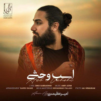 Amir Azimi - Asbe Vahshi