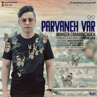 Mohsen Ebrahimzadeh - Parvaneh Var
