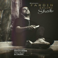 Fardin Salimi - Shab