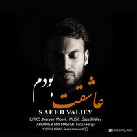 Saeed Valiey - Asheghet Boodam
