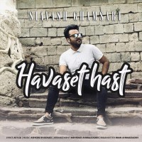 Siavash Ghamsari - Havaset Hast