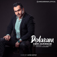Amir Zarinnam - Delaram