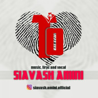 Siavash Amini - To