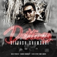 Siavash Ghamsari - Deltang