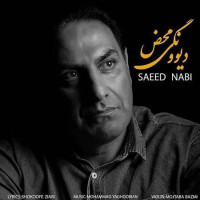 Saeed Nabi - Divoonegi Mahz