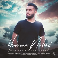 Mohammadreza Zarei - Havasam Nabod