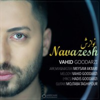 Vahid Goodarzi - Navazesh