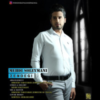 Mehdi Soleymani - Zendegi