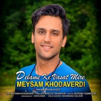 Meysam Khodaverdi - Delame Ke Vasat Mire