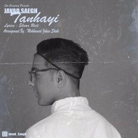 Javad Saegh - Tanhaei