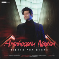 Amir Hossein Naderi - Zibaye Por Ehsas