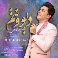 Milad Shojaei - Divoonatam