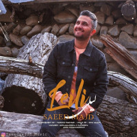 Saeid Majd - Leyli