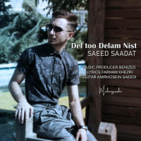 Saeed Saadat - Del Too Delam Nist