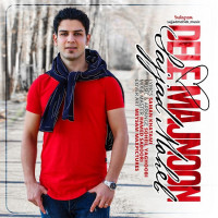 Sajjad Moheb - Dele Majnoon