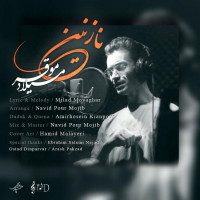 Milad Movaghar - Nazanin