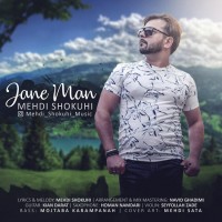 Mehdi Shokuhi - Jane Man