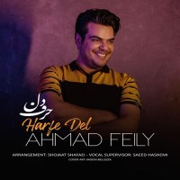 Ahmad Feily - Harfe Del