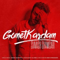 Siavash Ghamsari - Gomet Kardam