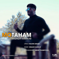 Misagh Kamkar - Motaham