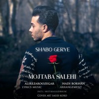 Mojtaba Salehi - Shabo Gerye