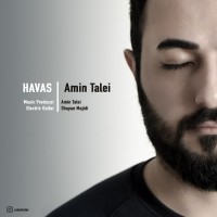 Amin Talei - Havas