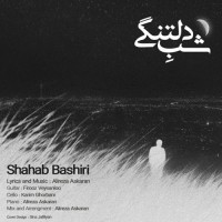 Shahab Bashiri - Shabe Deltangi