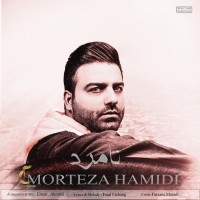 Morteza Hamidi - Namard