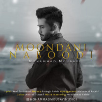 Mohammad Mousavi - Moondani Naboodi