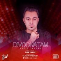 Saeid Taleshi - Divoonatam