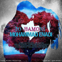 Mohammad Enadi - To Hamooni