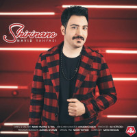 Navid Yahyaei - Shirinam