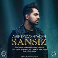 Amir Dadashzadeh - Sansiz