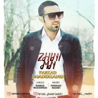 Farzad Ghaderzadeh - Zhini Man